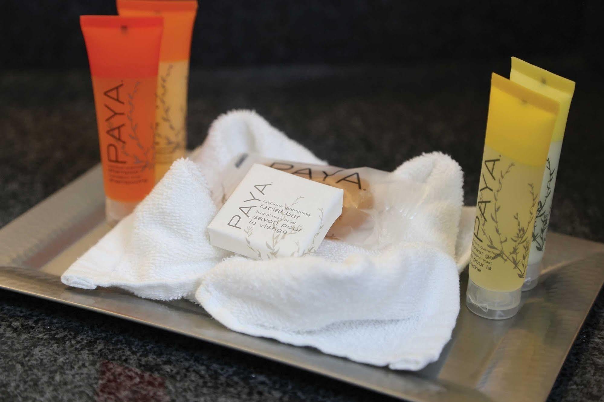 Surfbreak Virginia Beach Oceanfront, Ascend Hotel Collection Luaran gambar